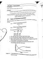 Extreme Chemical Kinetics.pdf